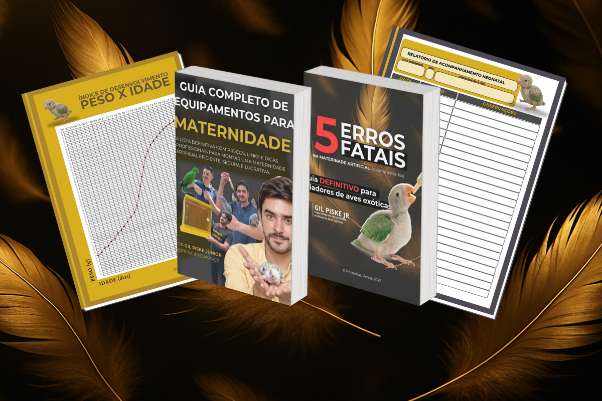KIT gratuito Primeiras Penas