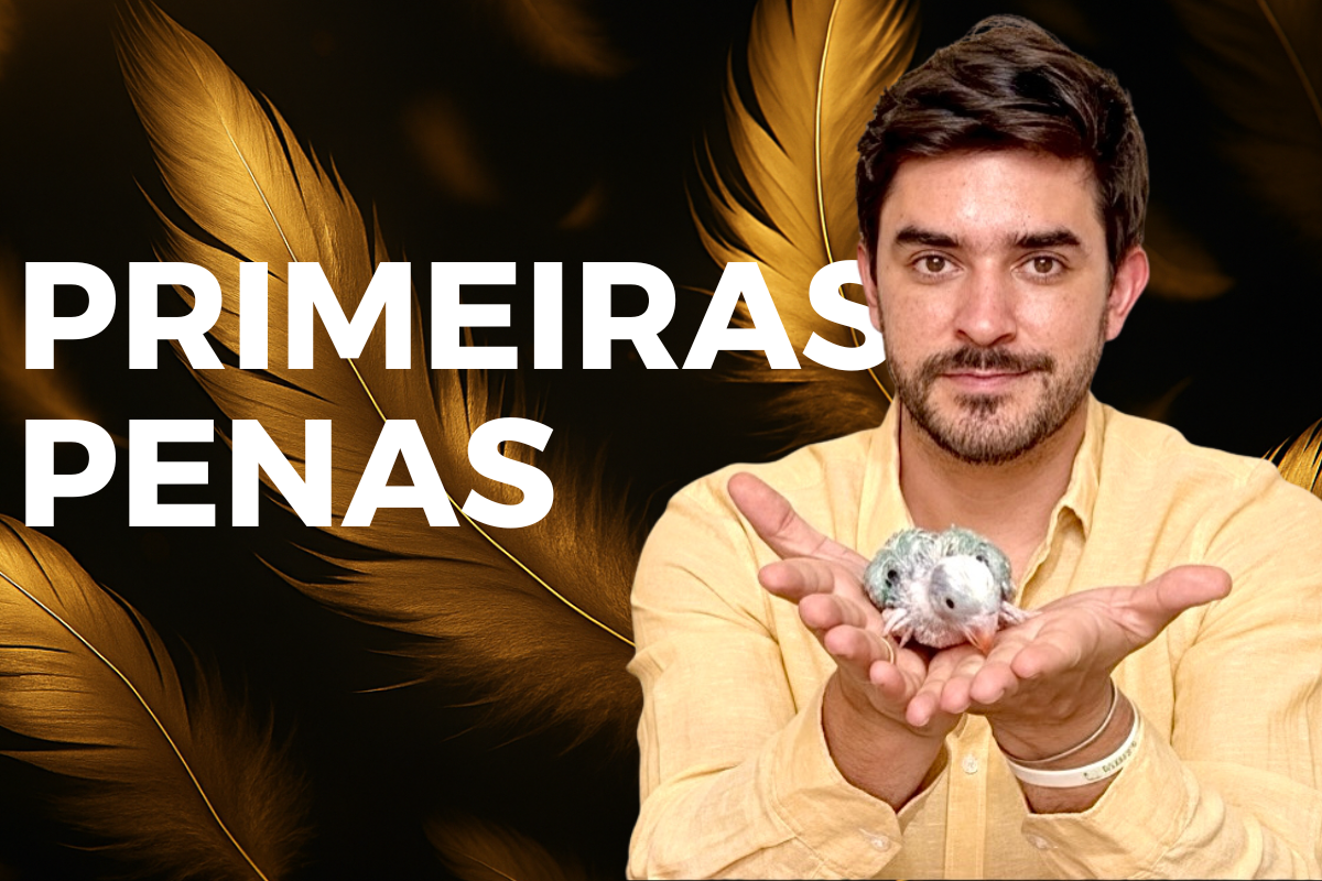 Página de vendas Primeiras Penas